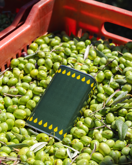 100% Extra Vierge Olijfolie